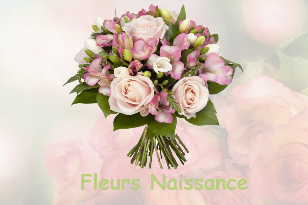 fleurs naissance BRAINANS