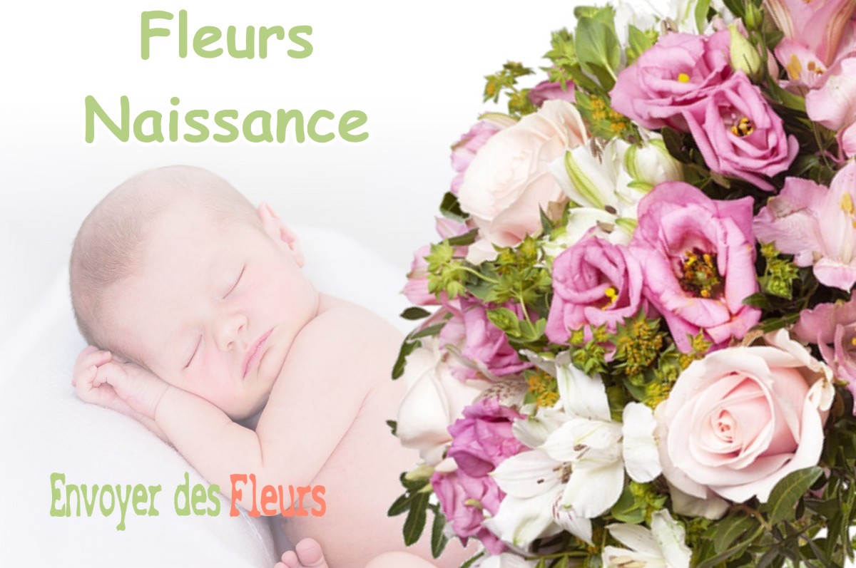 lIVRAISON FLEURS NAISSANCE à BRAINANS